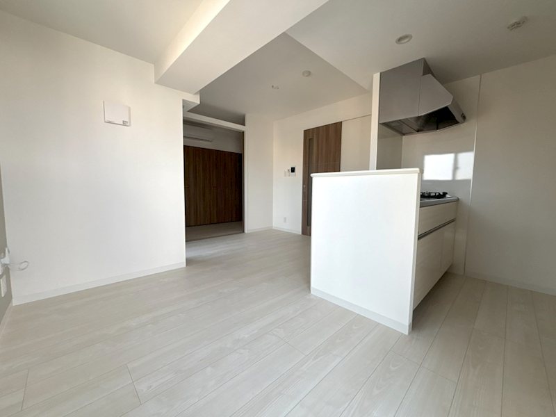 リューデサンテ リビング