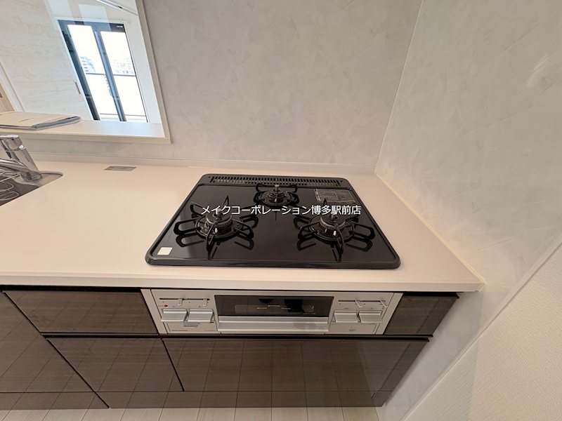 ラフレシーサ博多駅南Ⅴ その他12