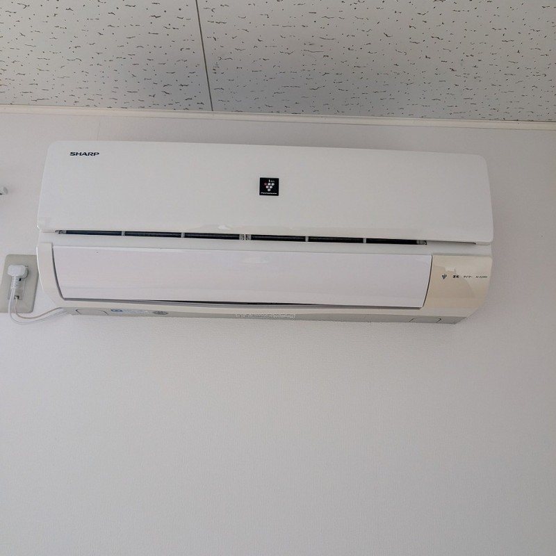 アムール・Rocou その他6