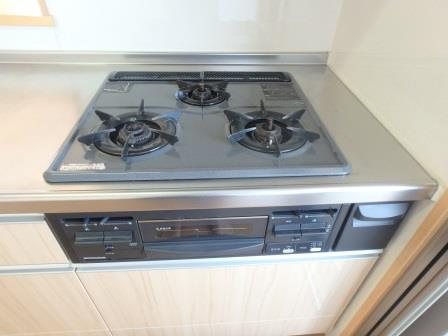 いずみの杜 その他10