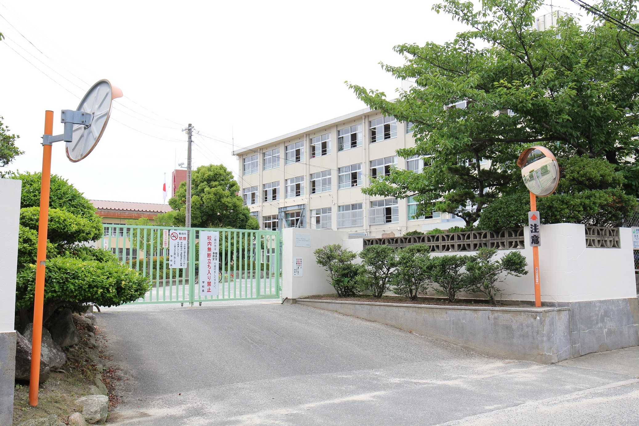 メープルフォレスト 周辺画像4