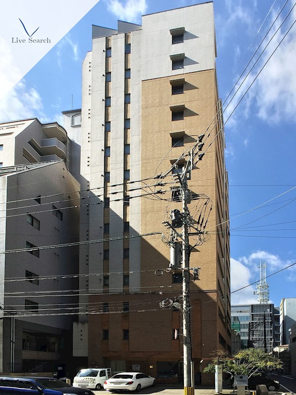 キャメロットハイネス  外観