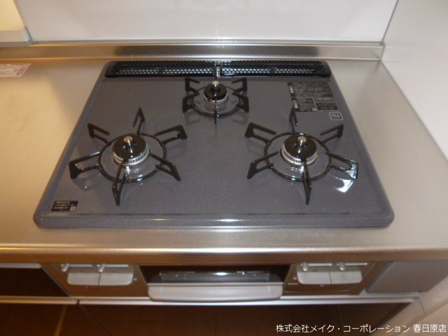 カームネス弥生 その他14