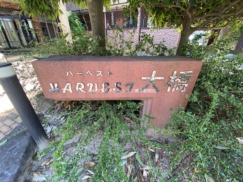 ハーベスト大橋 その他10