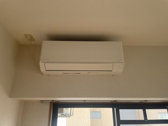 その他 プリマヴェーラ その他1