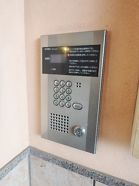 セラフィーノ白金 その他