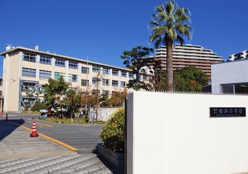 Live Flat  小学校