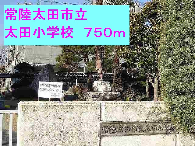 パインヒルズ その他
