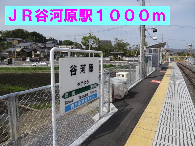 セレーノ その他