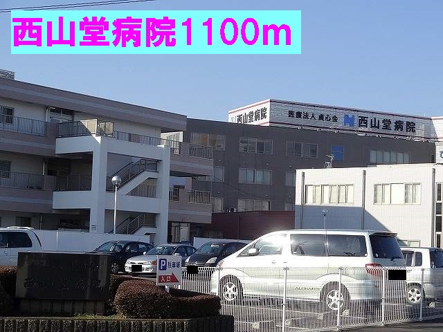 セレーノ その他