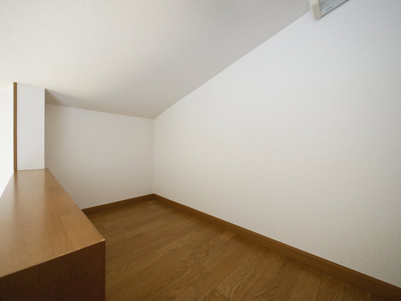 プラティークＢ その他