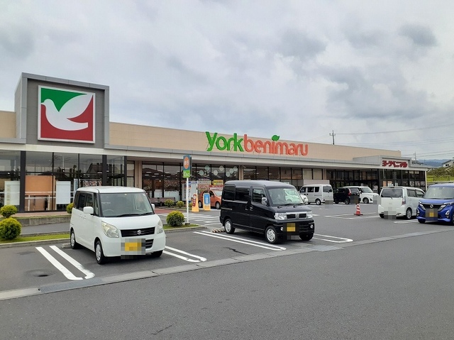 プリマヴェーラ その他
