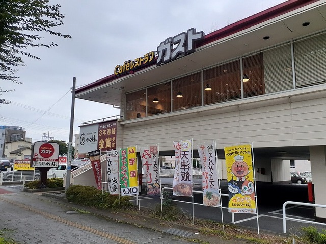 サラスバティⅡ その他