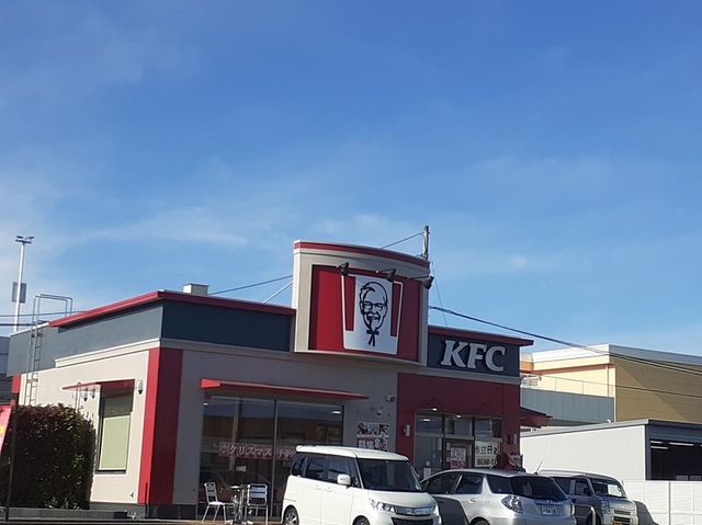 ラーディクス・Ｋ その他
