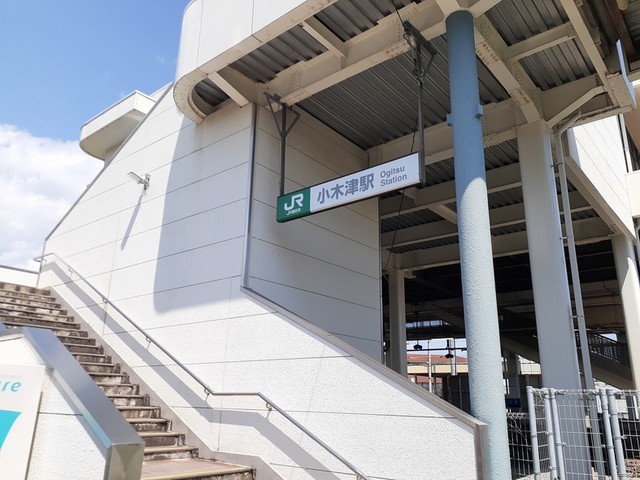 白蔵Ⅵ その他