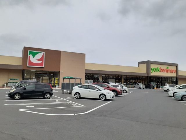 パステル その他