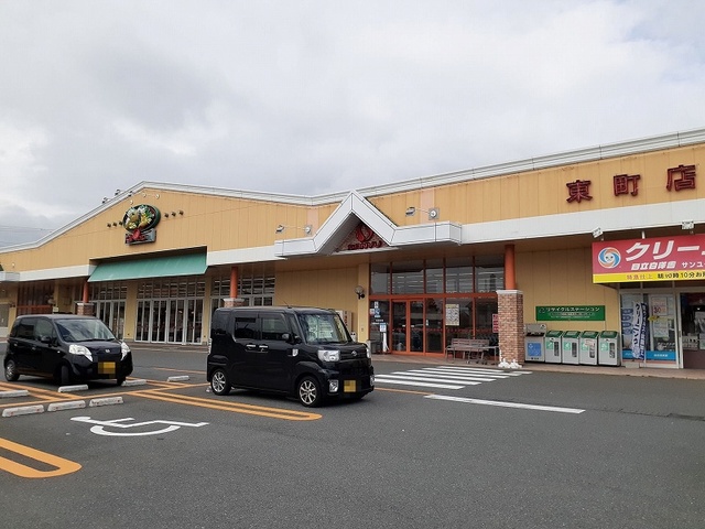 プラシードＳ その他