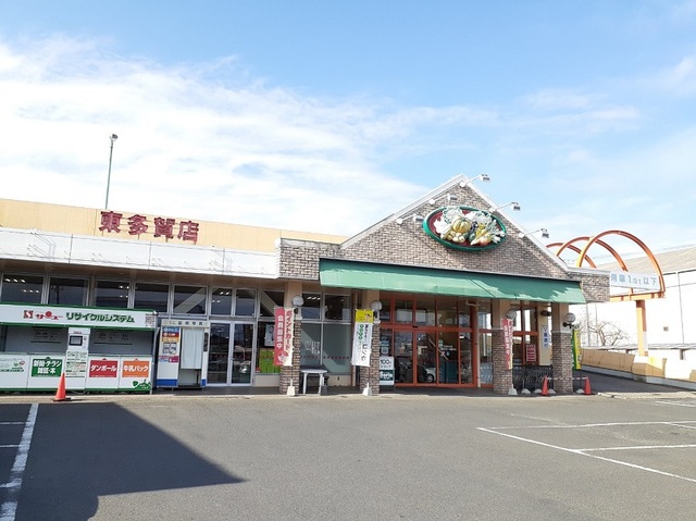 セレノプラシードⅡ その他