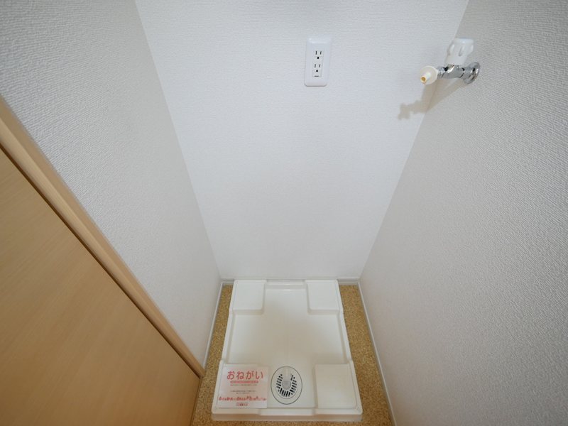 セレノプラシードⅡ その他