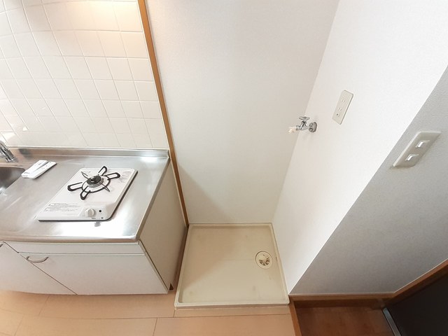 プルメリア その他