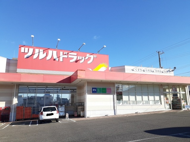 プルメリア その他