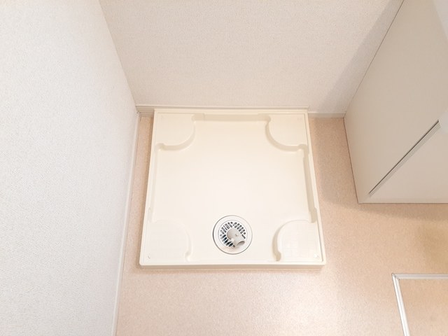 フラミンゴ その他