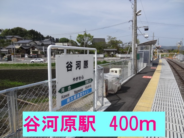 フラミンゴ その他