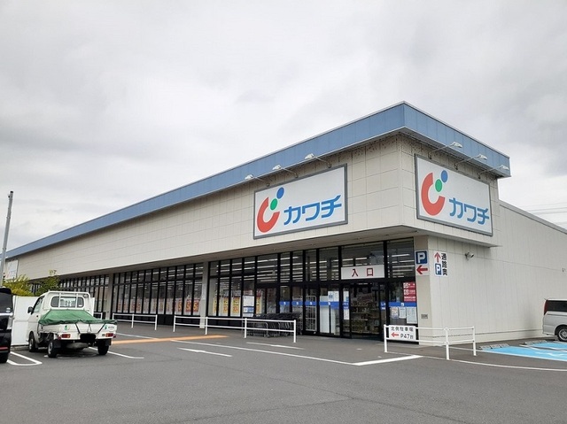 フラミンゴ その他
