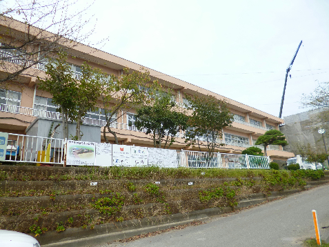 クリアライズ（Ｃｌｅａｒｉｓｅ） 小学校