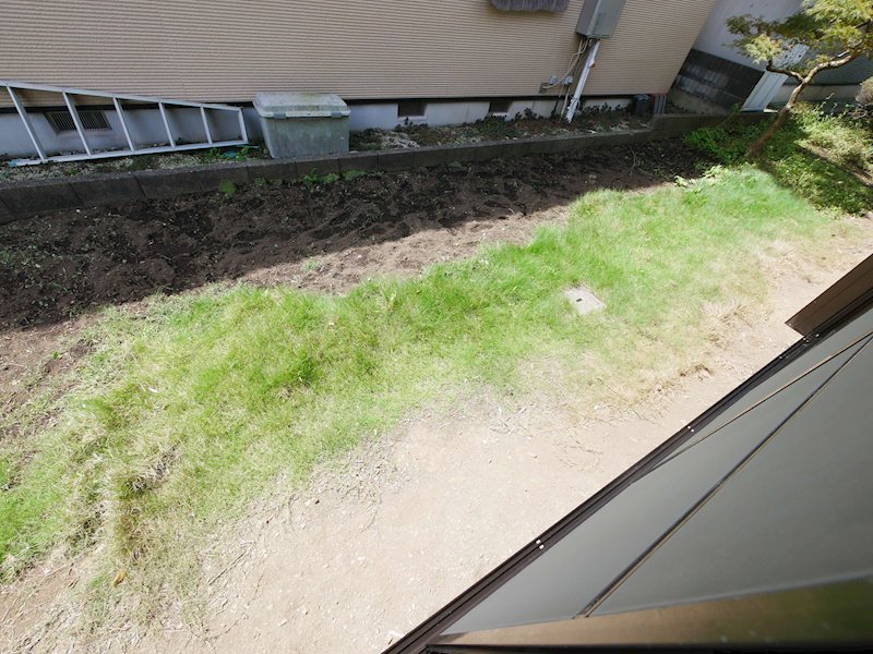 日立市諏訪町3丁目戸建 庭