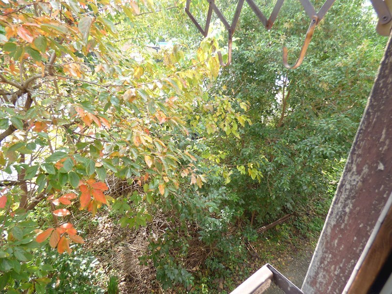神藤荘 その他