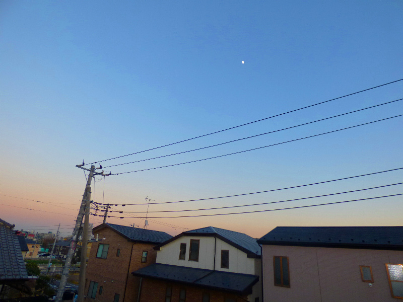 エントピアⅡ 眺望