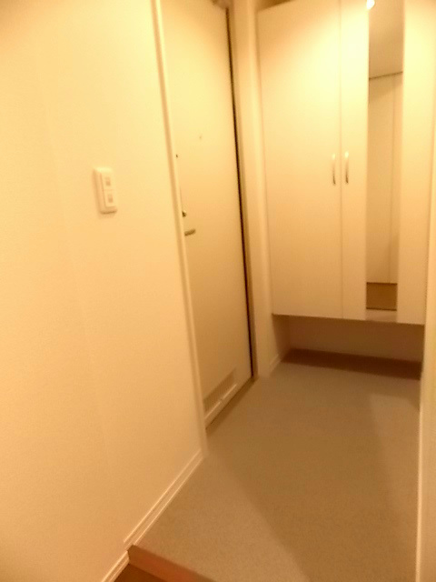 アネシス 玄関