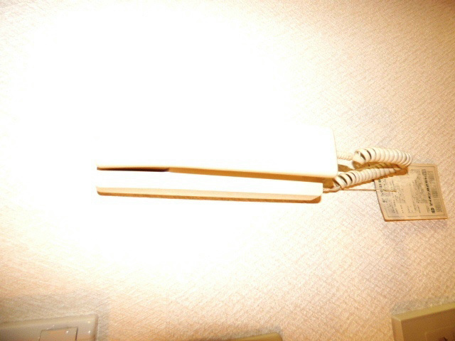 シャルムⅡ セキュリティ