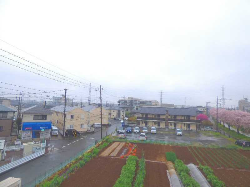 エクセルグランデ 眺望