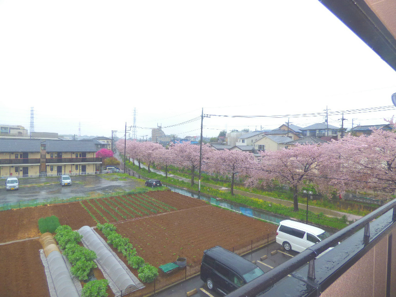 エクセルグランデ 眺望