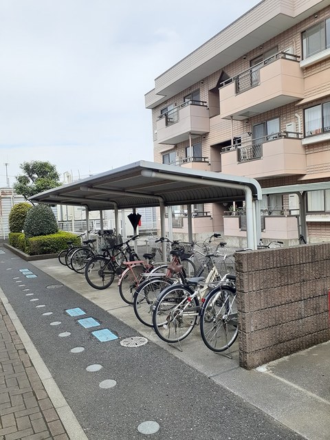 ゴーチェ その他
