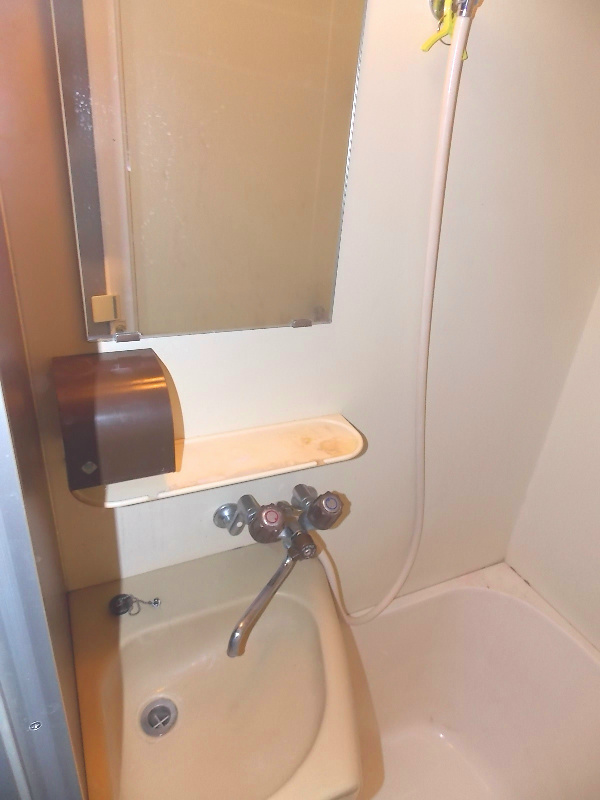 アレックス椿 洗面所