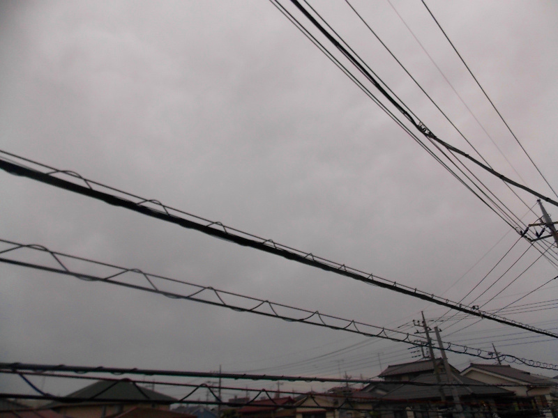 アレックス椿 眺望