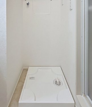 マイオール その他