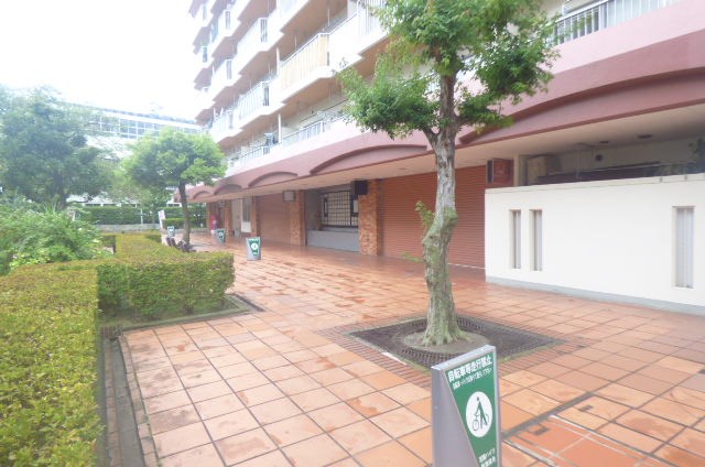 芝園ハイツ２号棟 その他