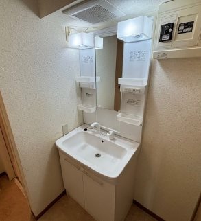 ディアレンス浦和 洗面所