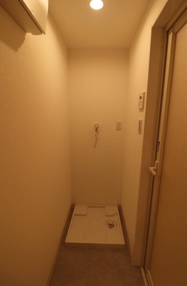 アース その他