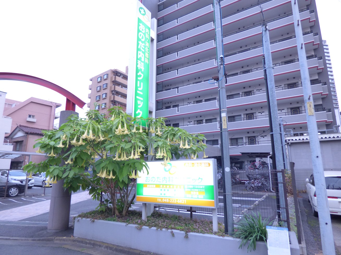 ai court 内科