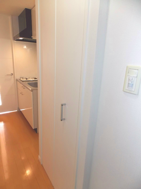 アクシーズタワー川口栄町Ⅰ その他部屋・スペース
