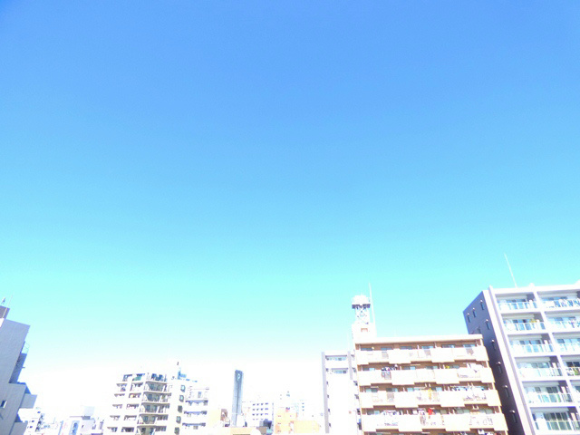 アルファコート西川口7 眺望