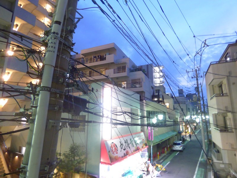 アルファコート西川口19 眺望