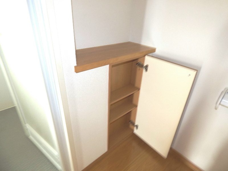アクシーズグランデ蕨Ⅱ 収納