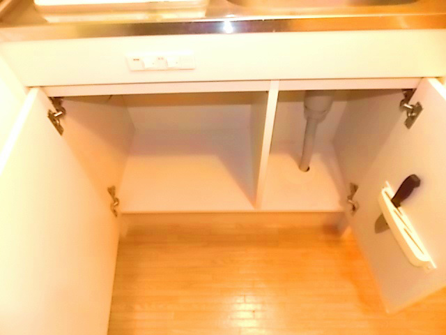アクシーズⅣ キッチン