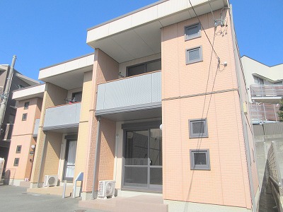ＣｅｄａｒＢｌｏｓｓｏｍＢ その他1
